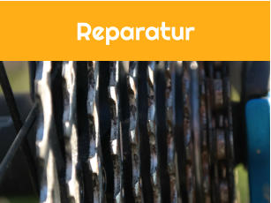 Reparatur